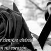 doraplasce86